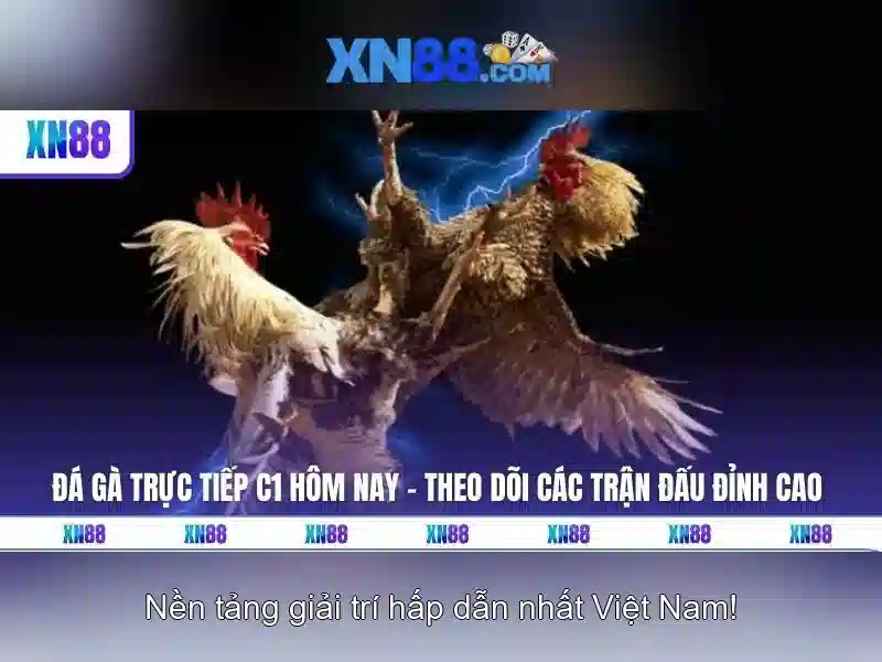 Cách đăng ký và bảo mật tài khoản<h>Kỹ thuật và đánh giá an toàn</h><li style=