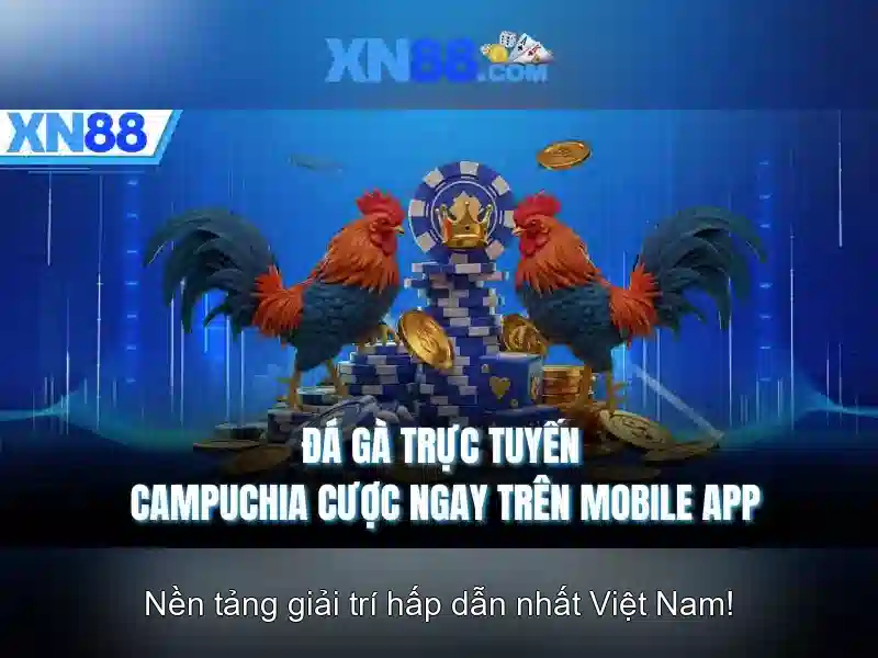 Thanh toán và hoá đơn\n\n<h2><b>Kết nối với người dùng</b></h2>\n<li style=