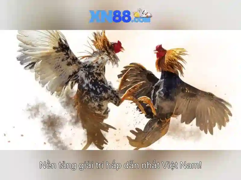 xn88: Tổng quan và hướng dẫn tham gia