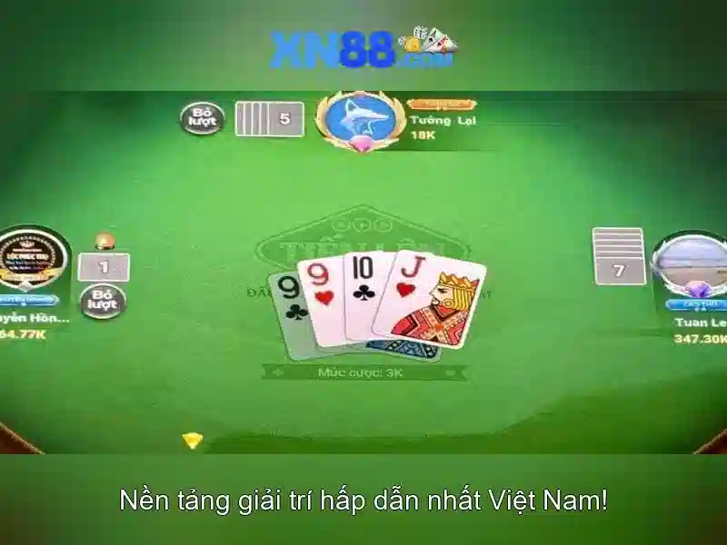 Trải nghiệm người dùng và hỗ trợ khách hàng