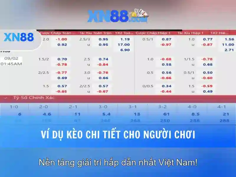 Trải nghiệm người dùng và thanh toán