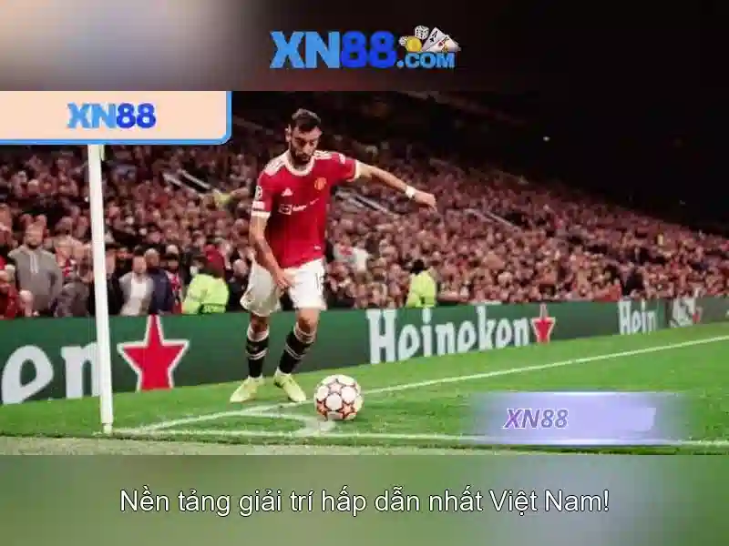 Hướng dẫn tham gia và trải nghiệm người dùng