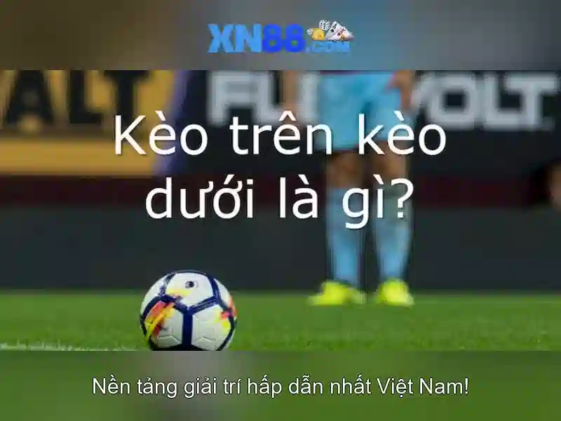 xn88 c: tổng quan, ứng dụng và đánh giá người dùng