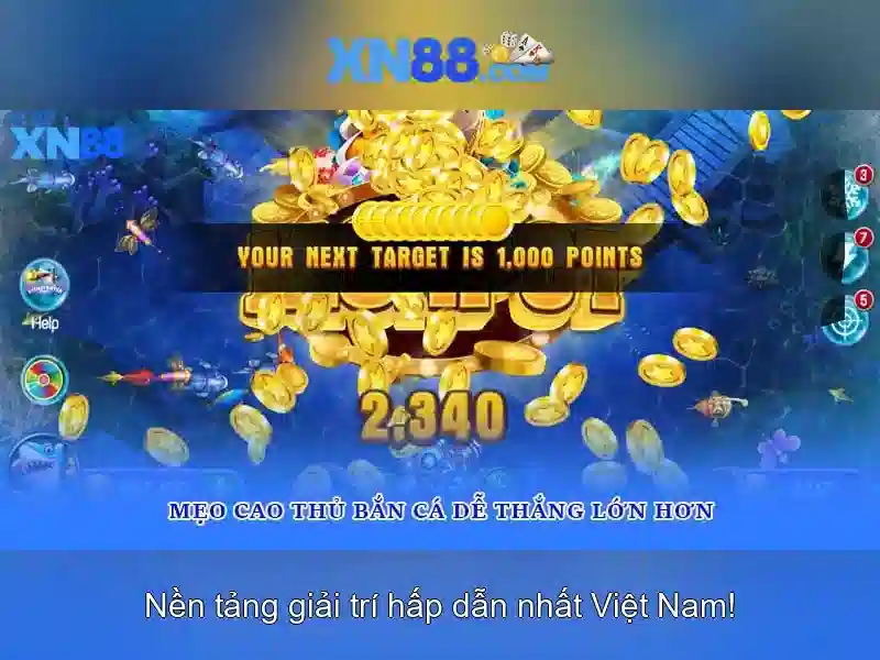 Nền tảng và giao diện