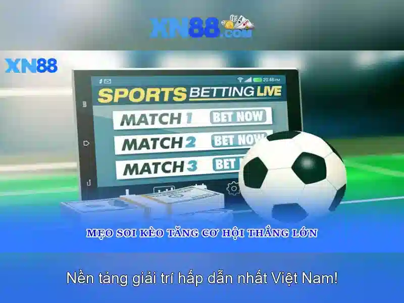 Trải nghiệm người dùng\n<h4>Hỗ trợ và phát triển cộng đồng</h4>\n<li style=