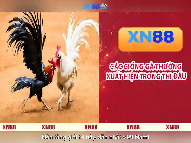xn88 - Nền tảng cá cược và trò chơi trực tuyến tại Việt Nam