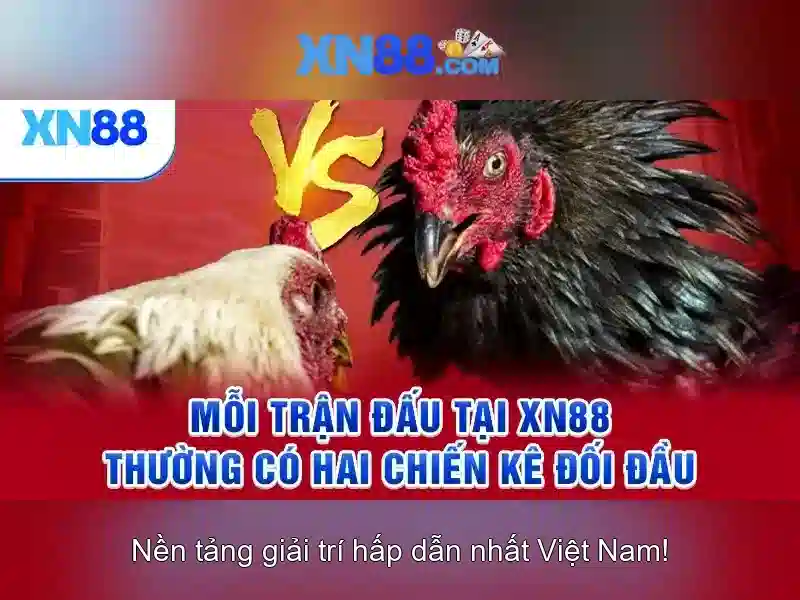 Nguồn gốc và uy tín