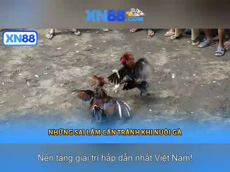 xn88 - Nền tảng chơi game trực tuyến và đánh giá tổng quan