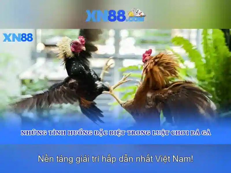 xn88: Tổng quan và hướng dẫn chi tiết