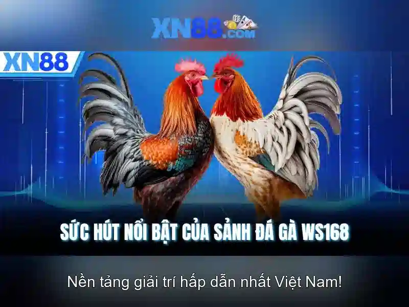 xn88: Nền tảng giải trí trực tuyến nổi bật tại châu Á