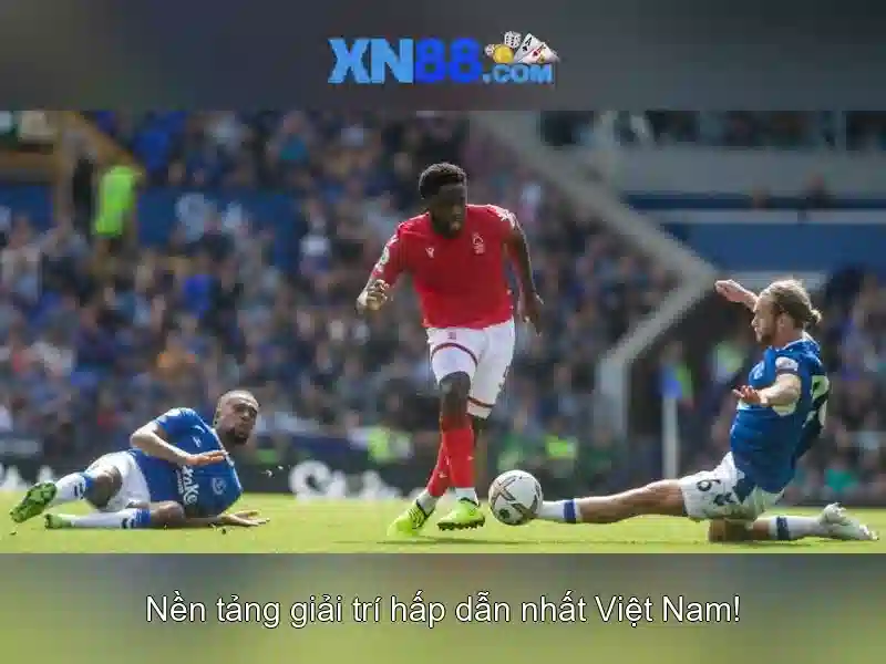 Điểm nổi bật của nền tảng