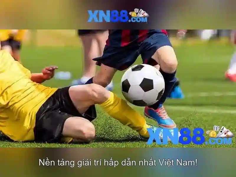 Lịch sử và nguồn gốc