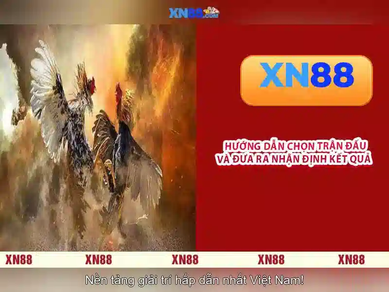 Tính năng và trò chơi\n<h2><b>An toàn và hỗ trợ người dùng</b></h2>\n<li style=