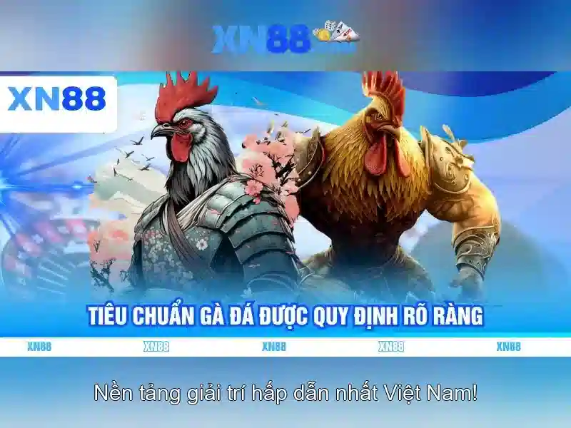 Hướng dẫn bắt đầu