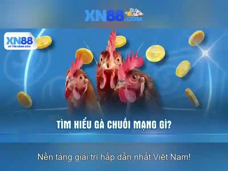 xn88 - Tổng quan và hướng dẫn