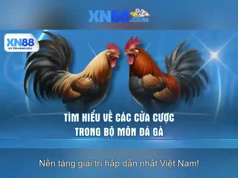 Giao diện và trải nghiệm người dùng