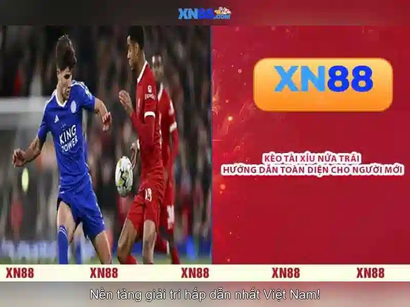Lịch sử và nguồn gốc