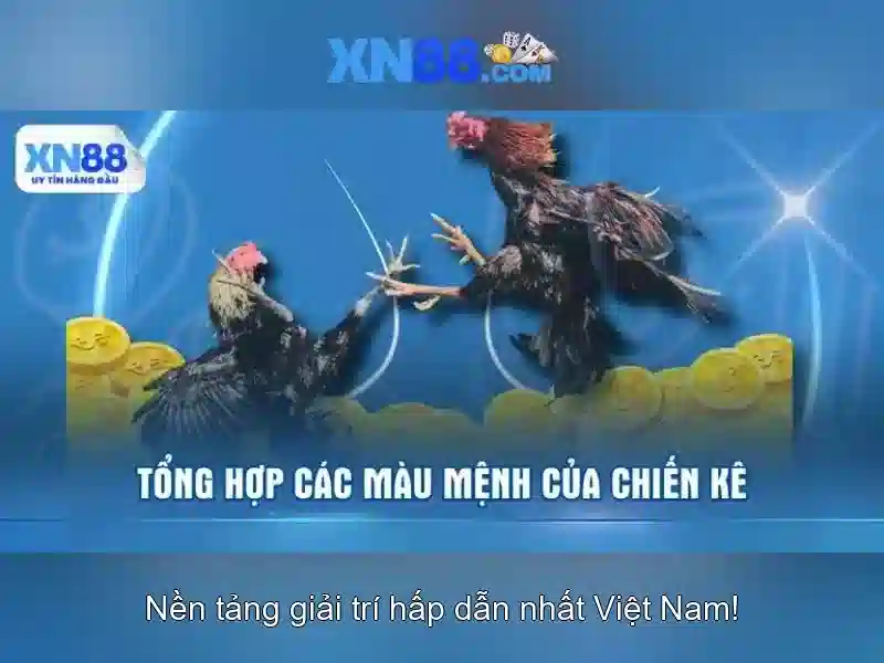 Đặc điểm nổi bật của xn88