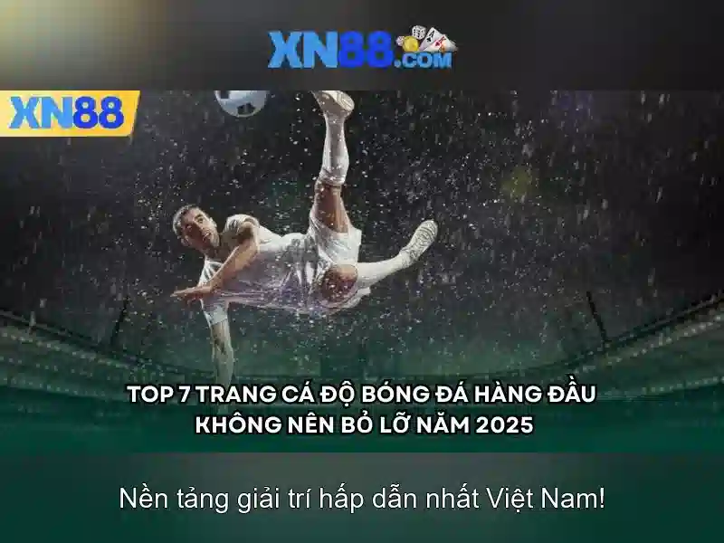 xn88: Giới thiệu nền tảng cá cược trực tuyến