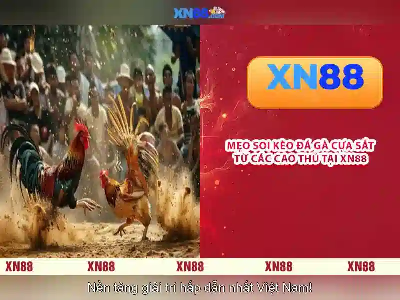 xn88: Nền tảng trò chơi trực tuyến và cá cược