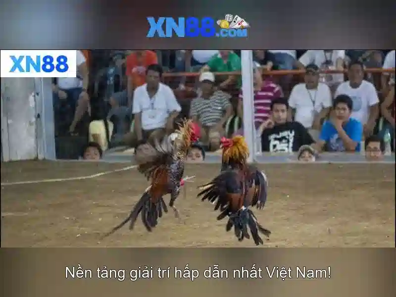 xn88 - Tổng quan, tính năng và hướng dẫn an toàn