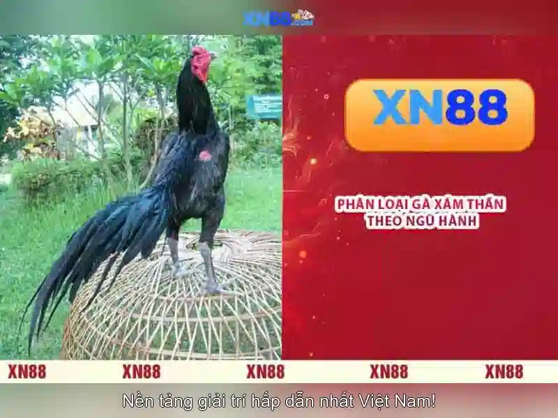 Tính năng nổi bật của xn88