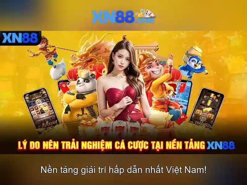 Tương tác và hỗ trợ người dùng