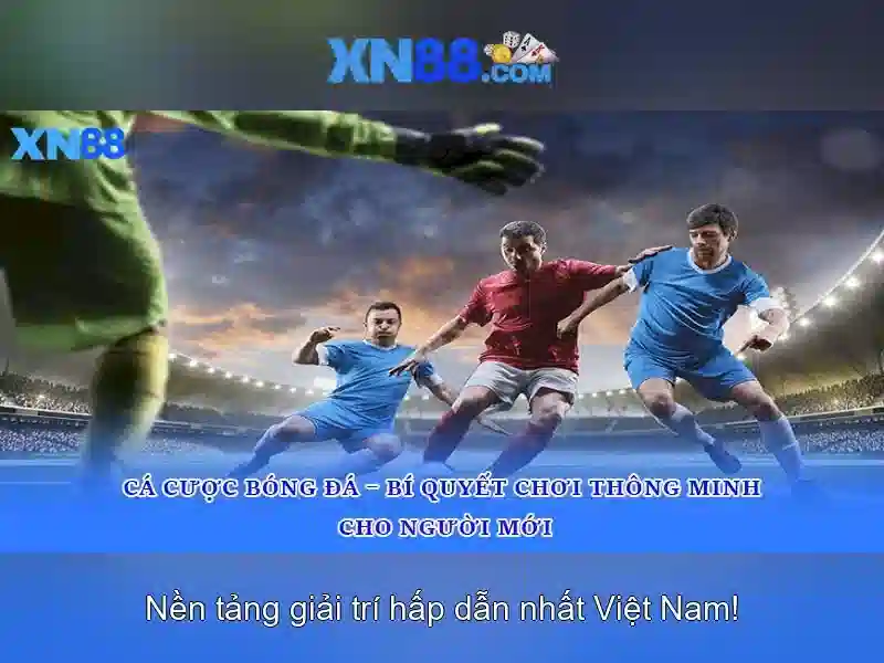 Hỗ trợ khách hàng và giao diện người dùng<li style=