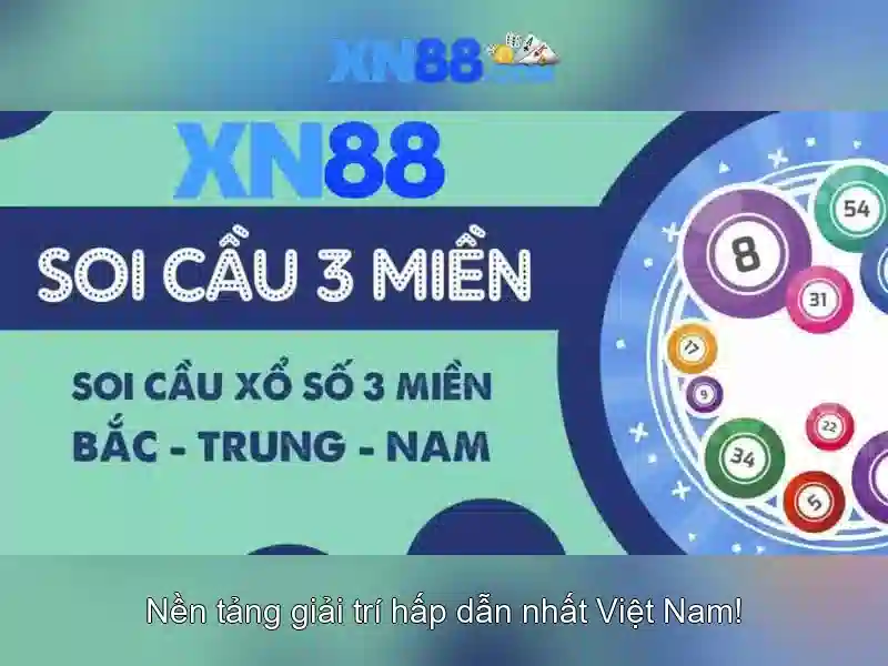 Các hình thức cá cược và khuyến mãi\n<h>Trách nhiệm và hỗ trợ người chơi</h>\n<li style=